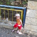 DSCN0203